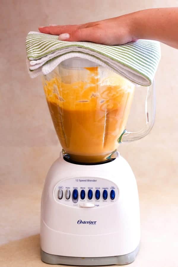 Foods You Should Avoid Putting In Your Blender