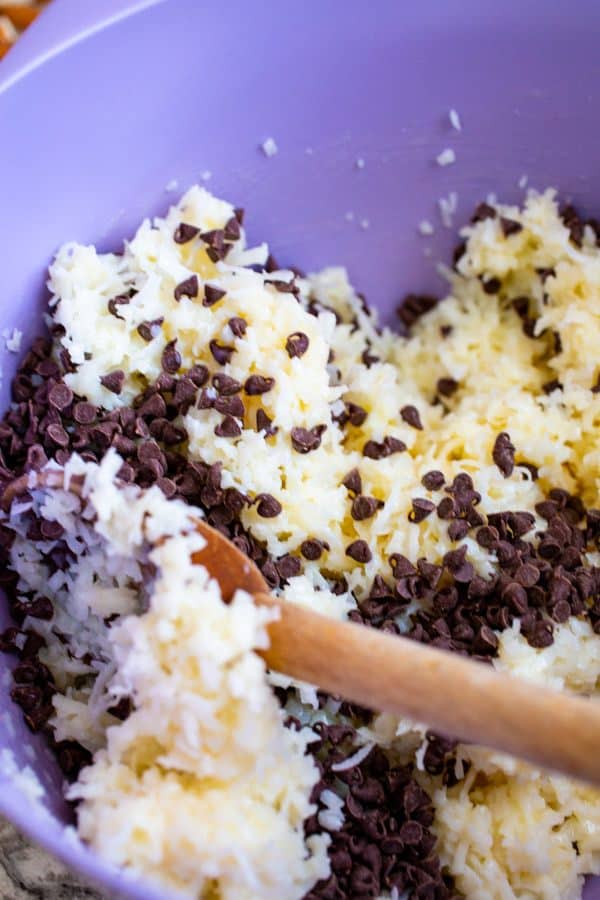 Shredded Sweetened Coconut in Bowl with Chocolate Chips