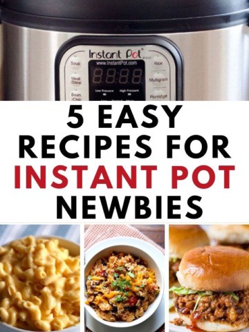 Text on Image: 5 Easy Recipes for Instant Pot Newbies.