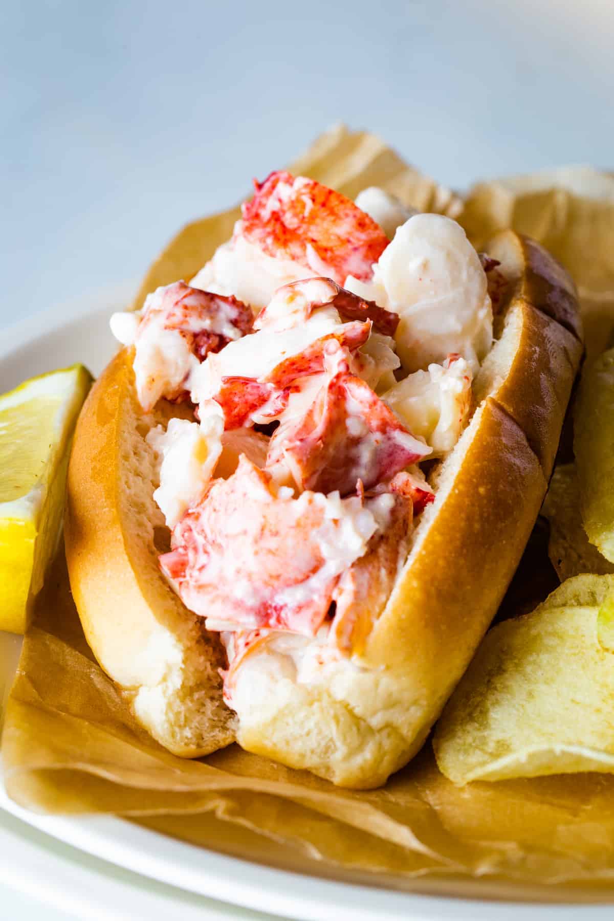 Lobster roll on a plate.