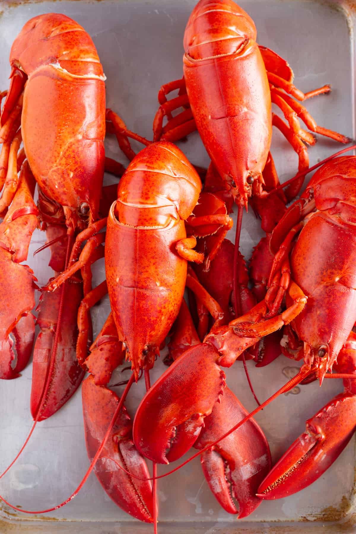 Four cooked lobsters on a sheet pan.