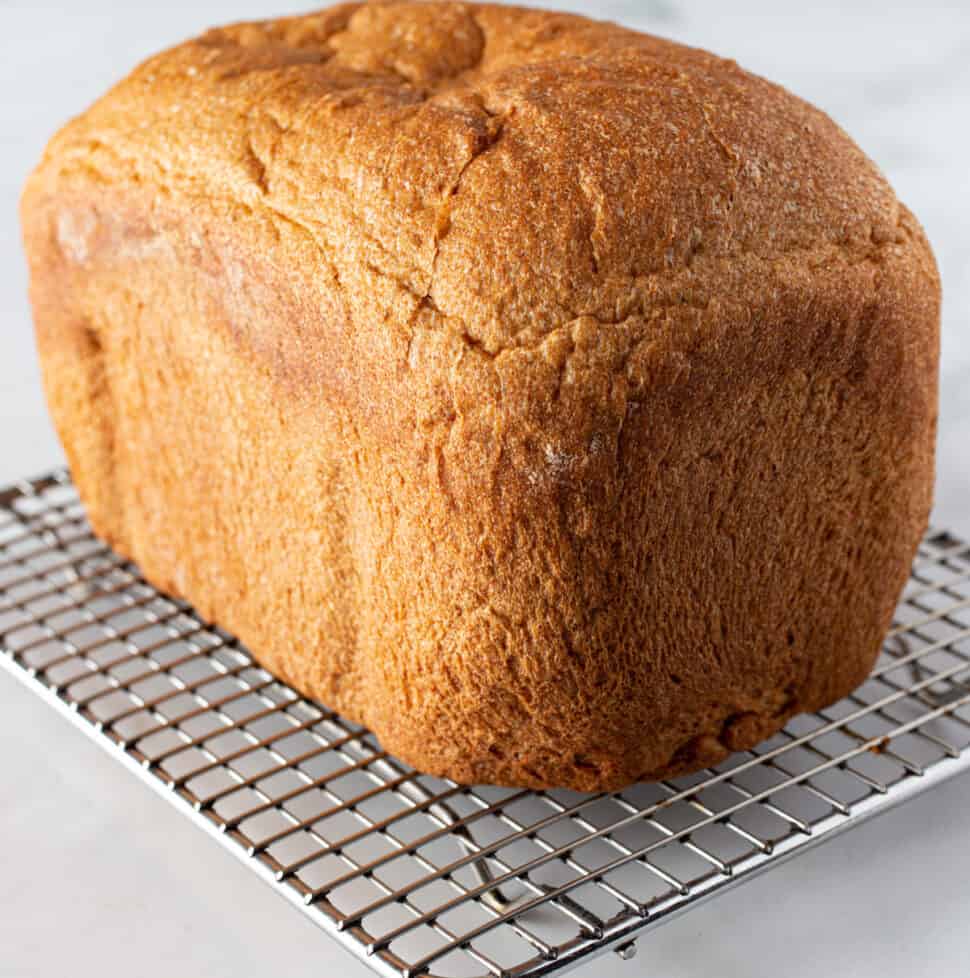 100% Whole Wheat Bread Machine Recipe - Cook Fast, Eat Well