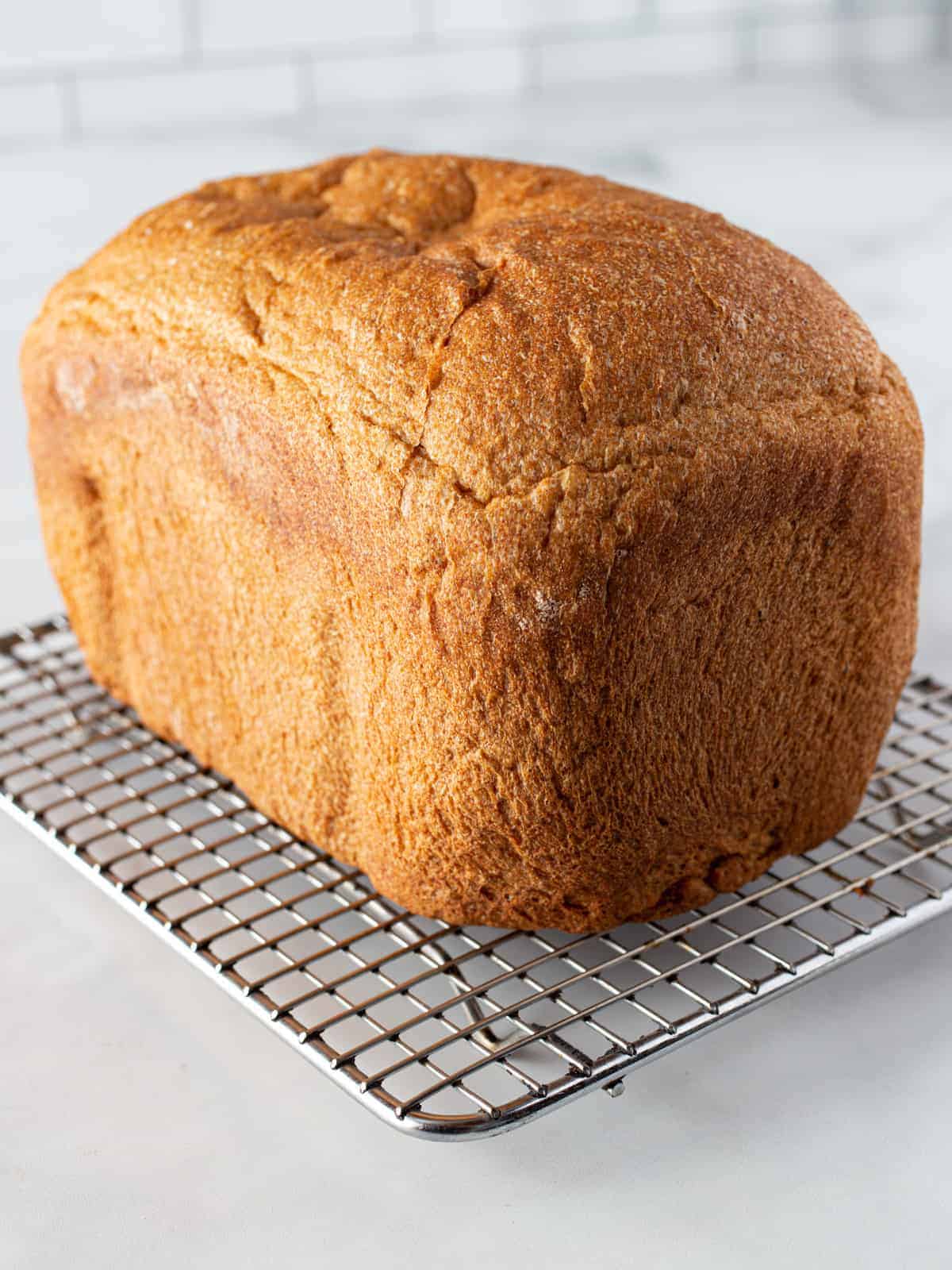 Whole wheat loaf cooling on a wire rack.