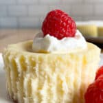 Cheesecake cupcake on a plate topped with whipped cream and one raspberry.