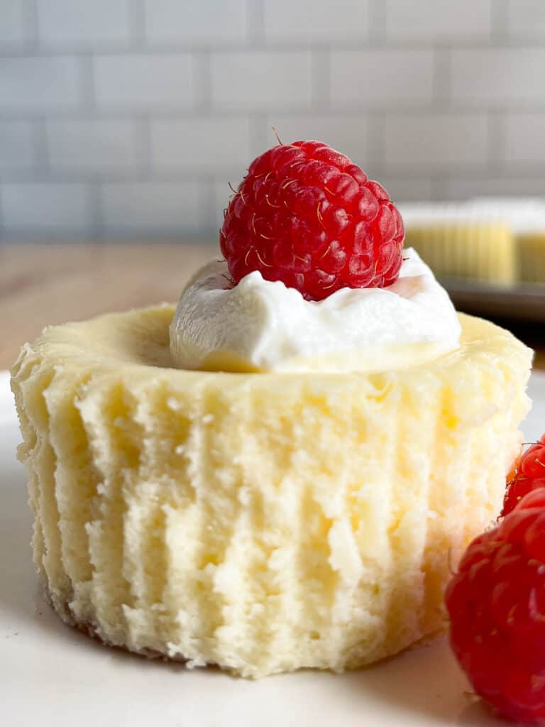 Cheesecake cupcake on a plate topped with whipped cream and one raspberry.