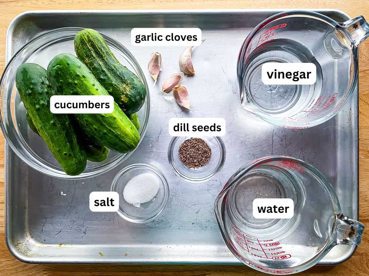 Ingredients for refrigerator pickles on a tray.