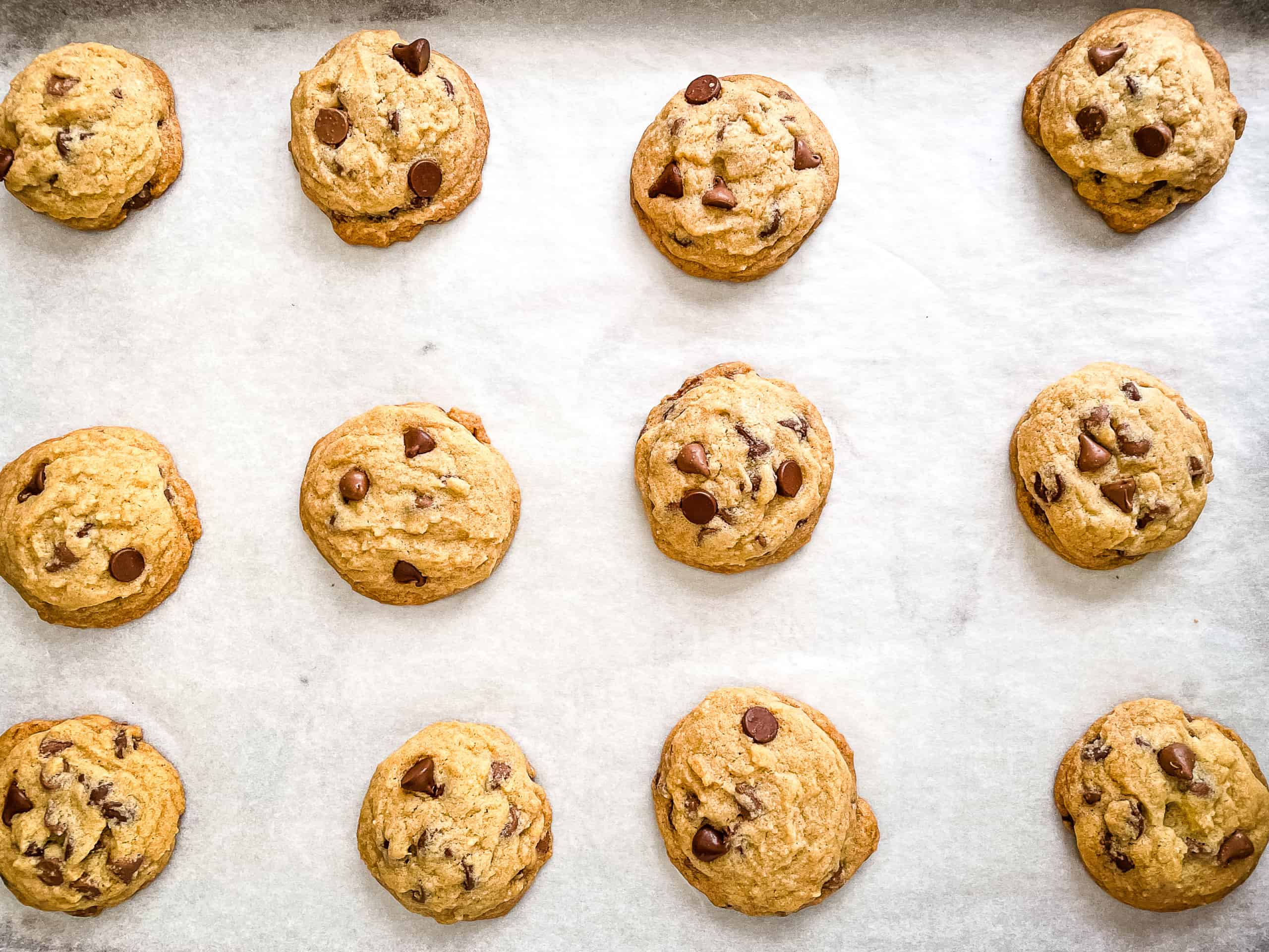 Soft chocolate chip cookies on a baking pan.