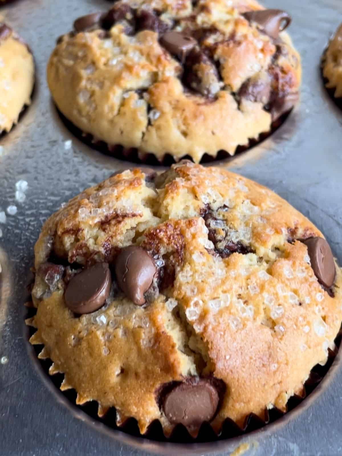 Brown butter chocolate chip muffin just baked in the pan.