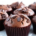 Chocolate muffin on a plate. The muffin is topped with chocolate chips.