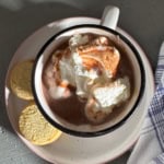 Mug of thick hot chocolate topped with whipped cream.