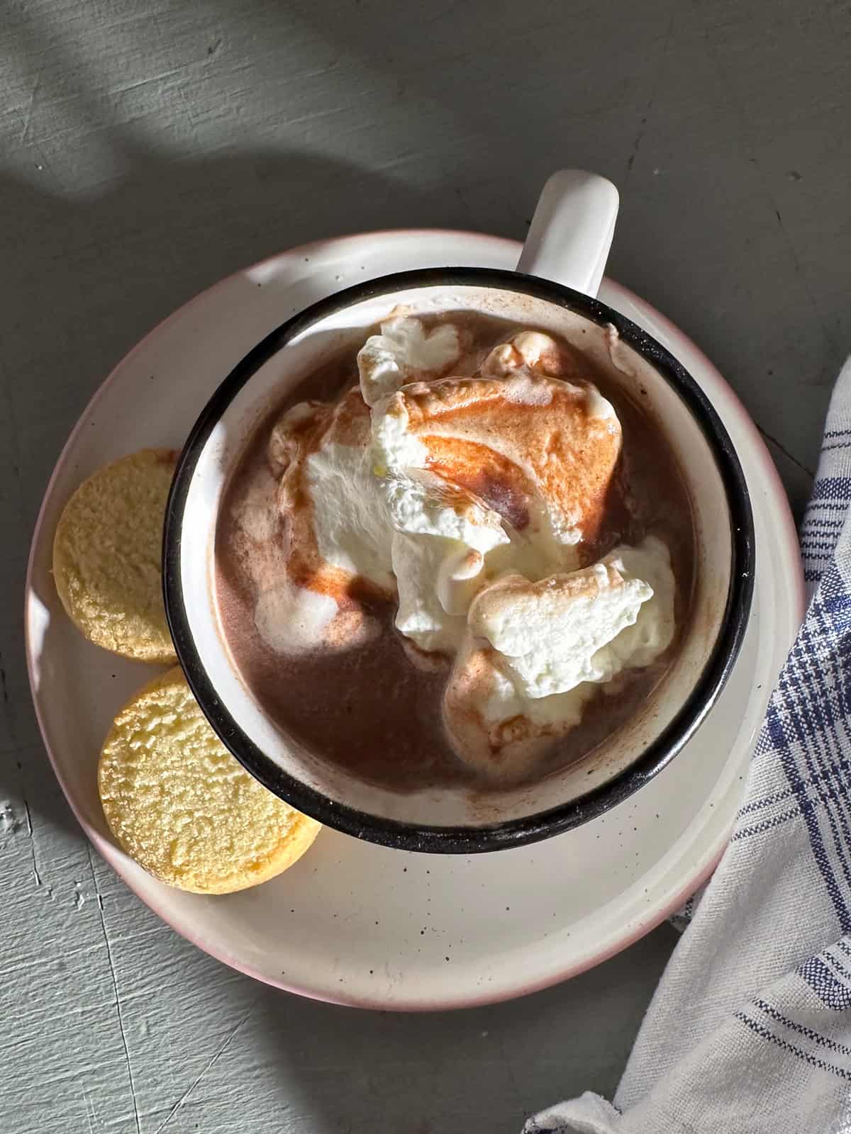 Mug of thick hot chocolate topped with whipped cream.